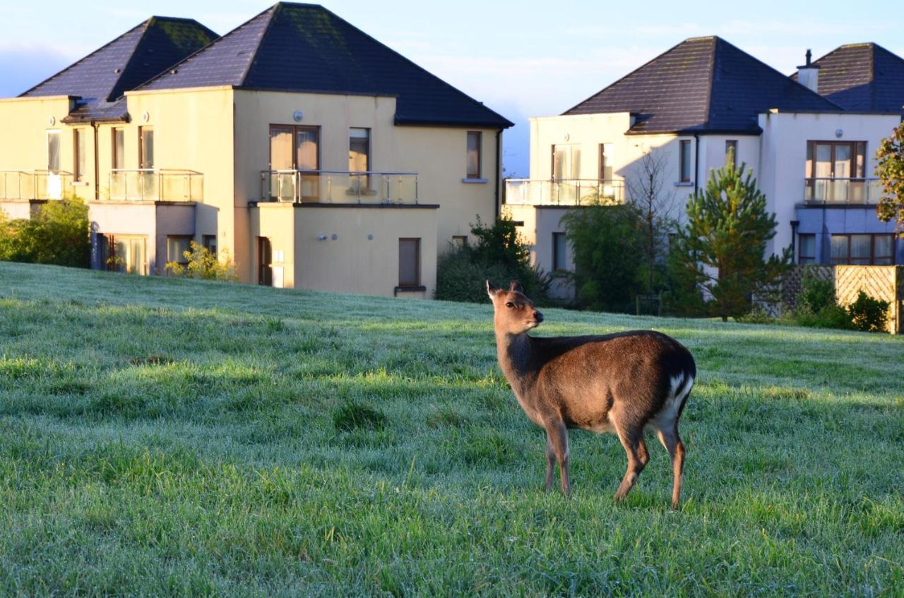 Waterford Castle Hotel & Golf Resort Ballinakill  Εξωτερικό φωτογραφία
