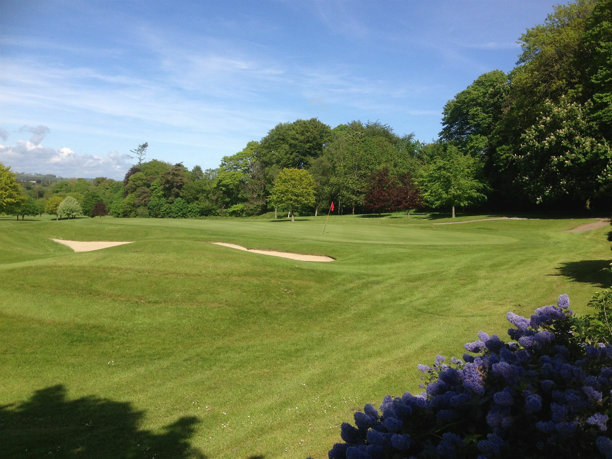 Waterford Castle Hotel & Golf Resort Ballinakill  Εξωτερικό φωτογραφία